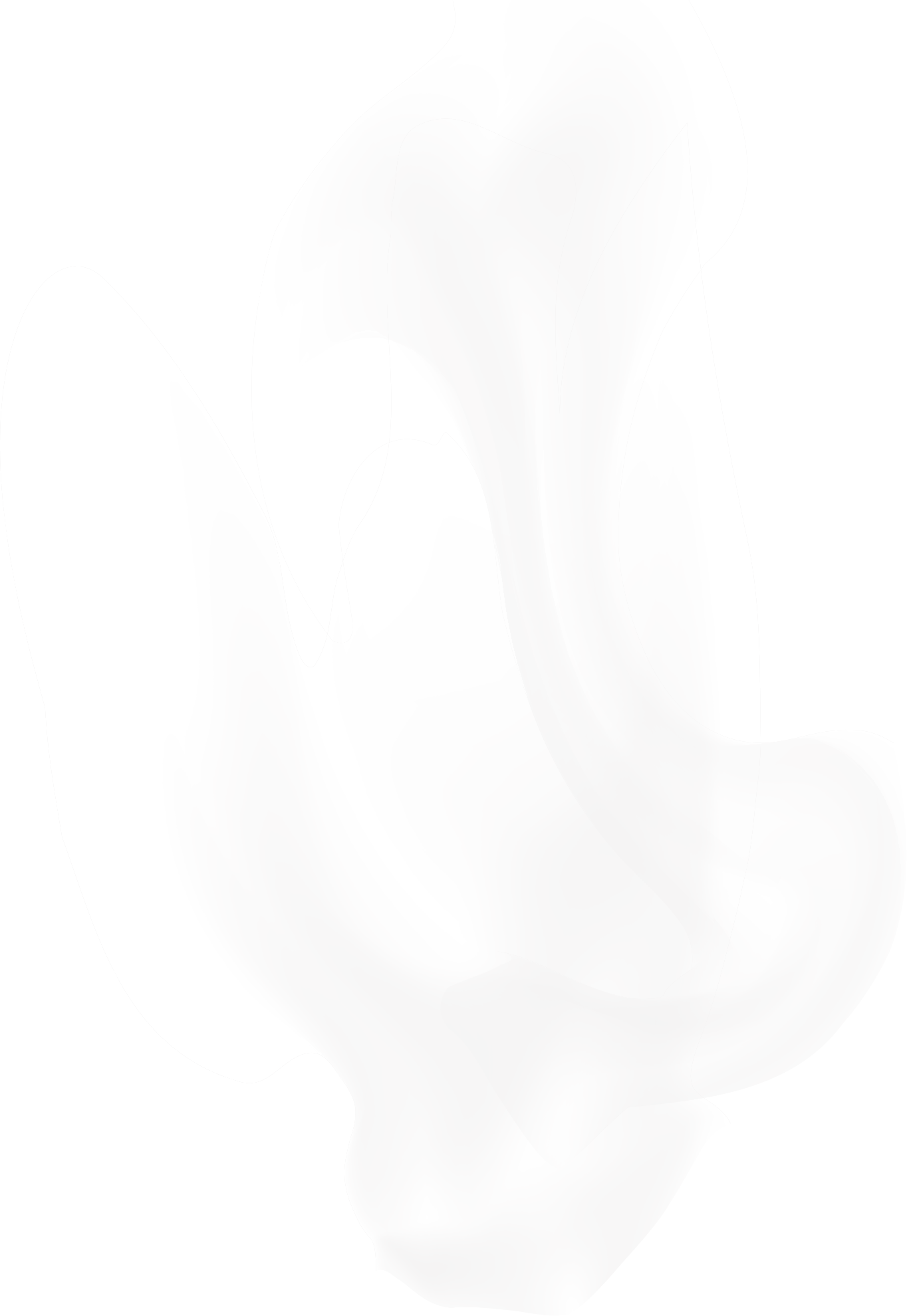 Dampf